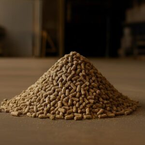 Sugarcane Bagasse