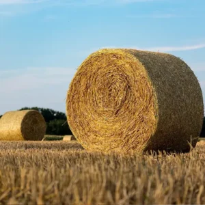 Agro-Waste Biomass