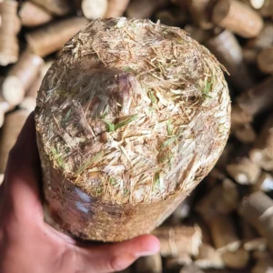 90mm Biomass
