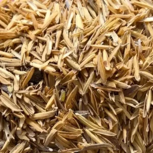 Rice Husk