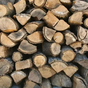 Wood Biomass